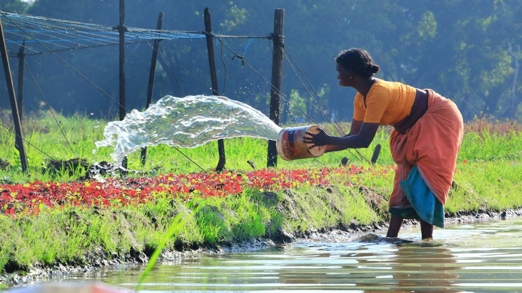 DCED Picture Event 03.07.2025