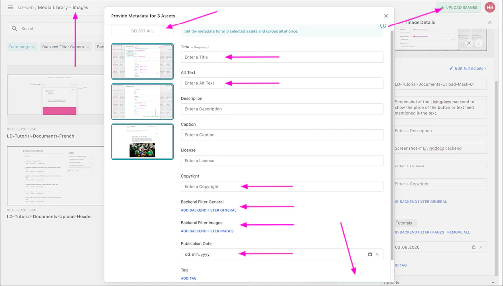 Screenshot of the Livingdocs backend to show the place of the button or text field mentioned in the text.