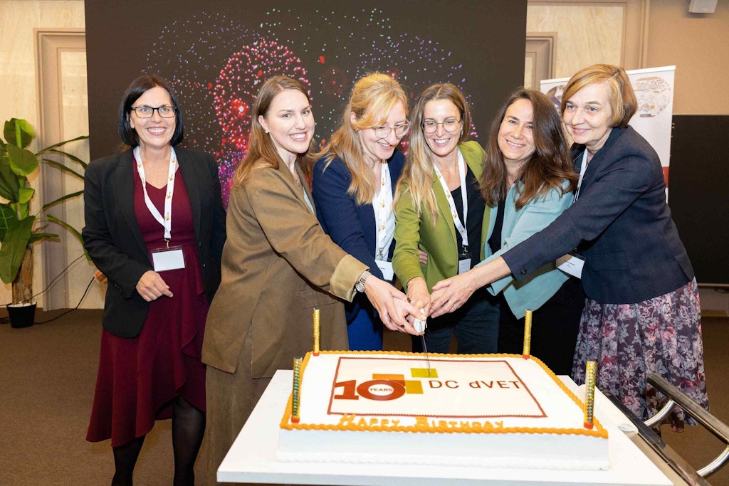 DCdVET steering committee cutting the 10 year anniversary cake