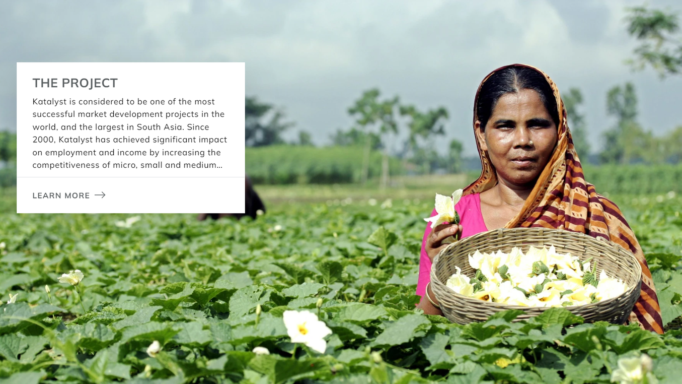 Swisscontact Katalyst