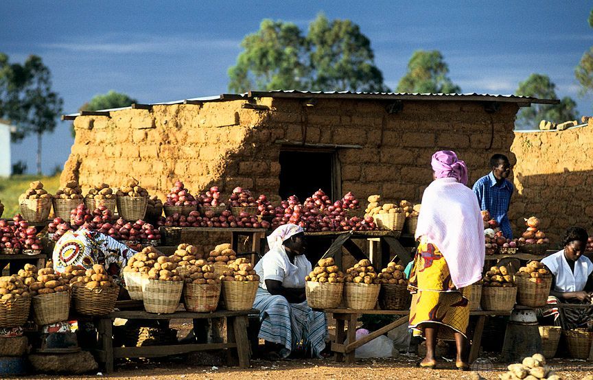 A market in a village in Nigeria, showing some women selling local products