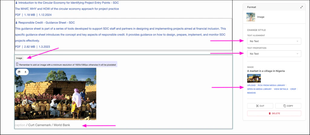 Screenshot of the Livingdocs backend to show the place of the button or text field mentioned in the text.