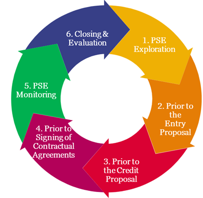 PSE Process Six Stages