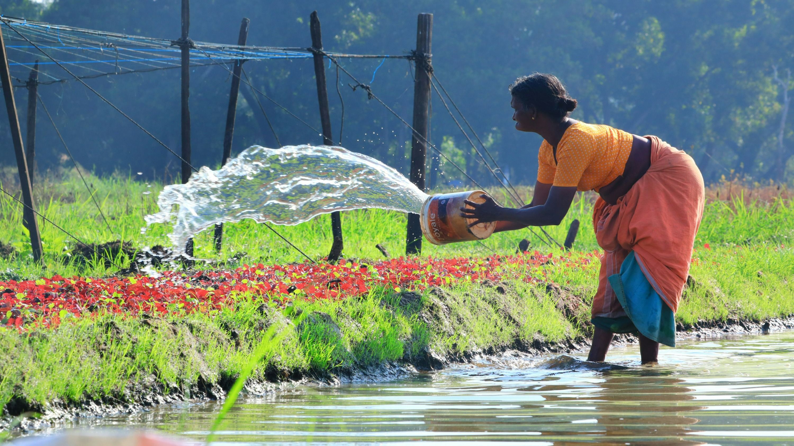 DCED Picture Event 03.07.2025